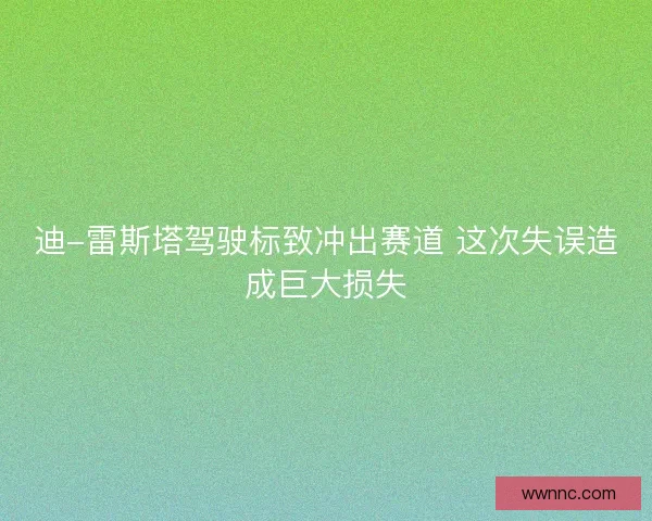 迪-雷斯塔驾驶标致冲出赛道 这次失误造成巨大损失 迪-雷斯塔驾驶标致冲出赛道 这次失误造成巨大损失